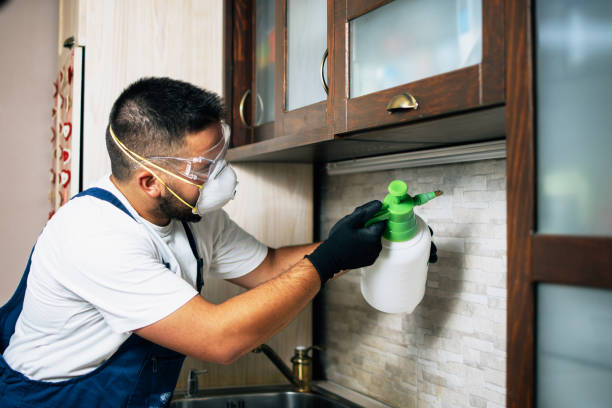 Best Exterminator Services  in Fairforest, SC