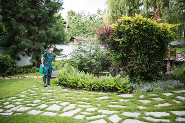 Best Mosquito Control Services  in Fairforest, SC