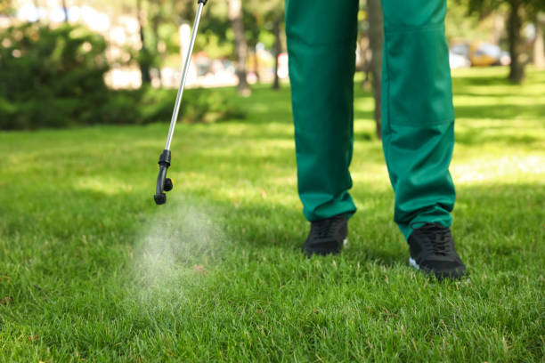 Best Pest Removal Services  in Fairforest, SC