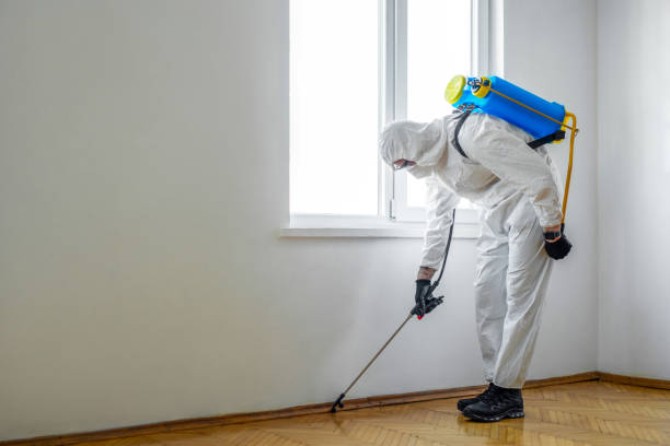 Best Pest Prevention Services  in Fairforest, SC