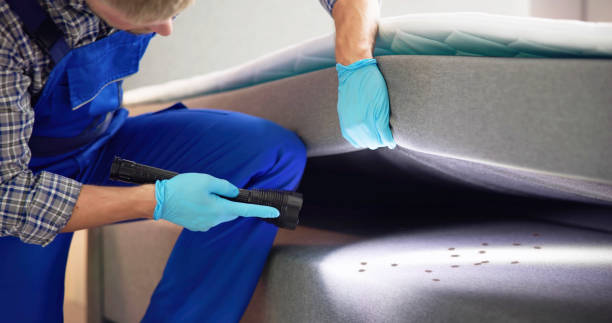 Best Residential Pest Control  in Fairforest, SC