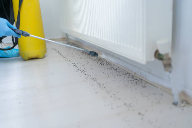 Best Affordable Pest Control Services  in Fairforest, SC