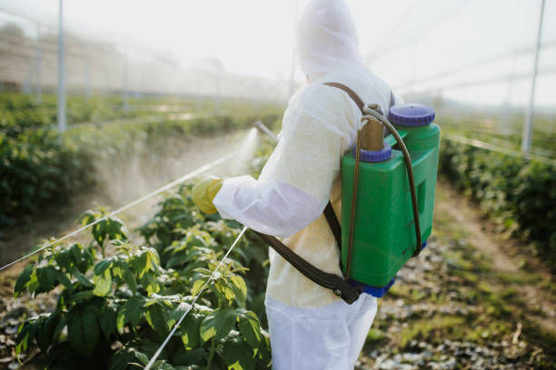 Best Pest Removal Services  in Fairforest, SC